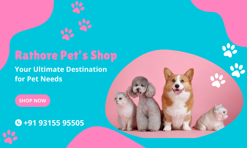 Rathore Pet’s Shop